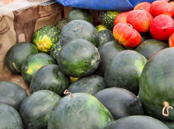 Администрация Камышина уведомила, что у нее нарасхват идут места под придорожные овощные ярмарки