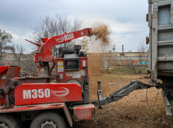 В Камышине муниципальное «Благоустройство» устроило на улице Текстильной переработку спиленных веток в «труху»