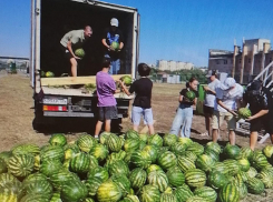 Депутат камышан в Госдуме Алексей Волоцков показал, как в парке «Топольки» началась разгрузка бахчевой ягоды для поедания гостями Арбузного фестиваля