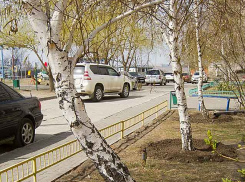 В Камышине пример в уборке еще до общегородского субботника показывают товарищества собственников жилья, но...