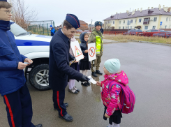 В Камышине сотрудники ГИБДД пообщались со школьниками и наклеили им на рюкзаки фликеры