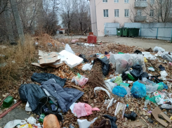 Администрация Камышина доложила горожанам, что в 2021 году смогла ликвидировать 2 несанкционированных свалки из 12-ти