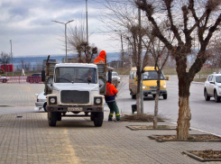 В Камышине рабочие «Благоустройства» никак не вывезут все обрезанные ветки с улиц