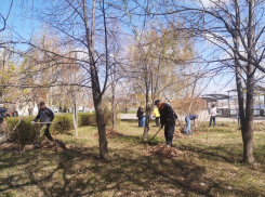 Камышинская городская дума отчиталась об участии в  субботнике 22 апреля снимками, на которых ни одного депутата с граблями нельзя узнать