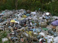 Нарушителей экологии на Черной гряде в Камышине будет «ловить» видеокамера