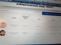 Кое-что об «амбициях» камышанина Анатолия Ярмоловича, заметных из... Лондона?