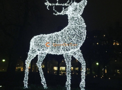 В Камышине хотят установить светящегося оленя