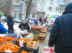 В Камышине на стихийном рынке у «Победы» в лужах и грязи обосновался «цитрусовый рай», - камышанка