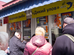 В Волгоградской области становится все больше работников, недовольных своей зарплатой