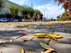 Волгоградская область стала на шаг ближе к массовому дистанту из-за ОРВИ и гриппа, - «Блокнот Волгограда»
