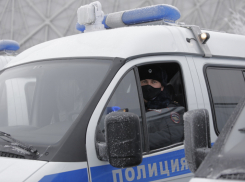 Новенькие две «Газели», «Гранту» и «Весту» получила камышинская полиция на «новогоднем параде» в Волгограде