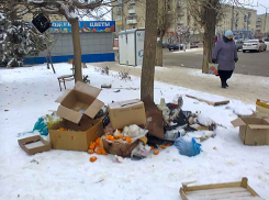 В Камышине безобразную картину представляют из себя окрестности рынка у бывшей «Победы», в самом центре города