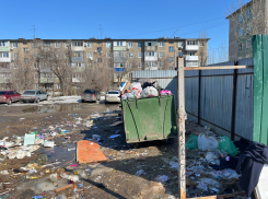 Мусорные площадки хотят поручить содержать регоператору: вполне логично!