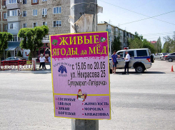 Почему в Камышине никто не хочет бороться с модой прибивать рекламу на столбы? - камышанка