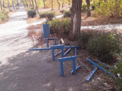 Лавочки в парке Строителей вандалы раскрошили, где же теперь влюбленным целоваться? - камышанка