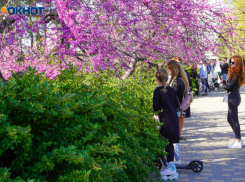 Волгоград начали аврально приводить в порядок к приезду Путина и Лукашенко: даже покрасят газоны 