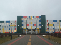 Наказаны ли педагоги Камышина и Палласовки, называвшие публично учеников «детьми вампиров» и отрезавшие челку на глазах у всех