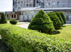 Три многокварных дома будут сидеть без электричества сегодня, 11 июля