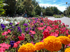 Глава Камышина Станислав Зинченко «раздал» поручения своим подчиненным по поводу празднования в городском парке 357-й годовщины Камышина 14 сентября