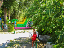 В Камышине будет солнечно и жарко 23 августа, а завтра на весь день зарядит дождь