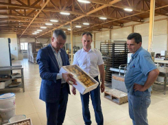 Депутат камышан в Госдуме прихвалил администрацию Дубовки за булочное производство, а как же тогда «упустили» хлебокомбинат в Камышине?
