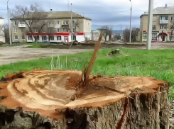 Где в Камышине можно будет голосовать за объекты благоустройства?