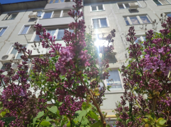 Яркое солнце и +23: погода в Камышине на Пасху