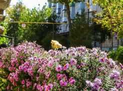 Коммунальщики Камышина 26 сентября отключают свет в десятках домов и горячую воду - в нескольких 