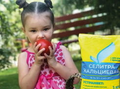 Без кальциевой селитры хороший урожай не соберешь  