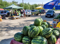 В Камышине арбузы подешевели до 25-ти рублей за килограмм