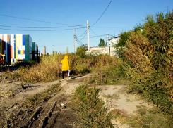 Путин заявил, что оппозиционные СМИ в России  «никто не трогает», хотя они жестко критикуют власть