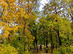 Журналисты узнали некоторые детали о двух новых смертях от COVID по состоянию на сегодня, 24 сентября