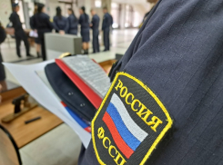 Почему в Камышине судебные приставы передали детей под опеку государства при живой матери