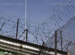 Суд выпустил на свободу соседа погибшей после признания в ее жестоком убийстве, - «Блокнот Волгограда»