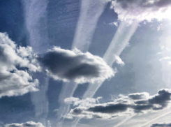 Дождь и солнце будут чередоваться в Камышине в выходные