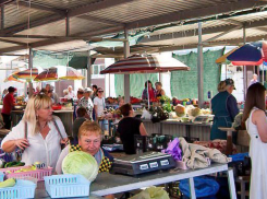 Завтра, 8 сентября, камышан с 8.00 утра уже ждут у урн для голосования: «Поднимите свой зад с дивана!» - звучат народные призывы  в соцсетях