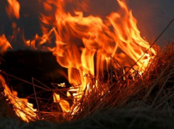 В Камышинском районе в фермерском хозяйстве огонь перекинулся с рулонов сена на хозпостройку