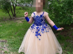 Кто рассылает на телефоны камышан фейковую новость о пропавшей девочке в бальном платье, неизвестно