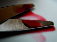 В Камышинском городском суде прозвучал приговор извергу, заколовшему родную мать ножницами