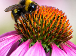 Четверг 20 июля приходит в Камышин солнечным, ясным, но разыграется геомагнитная буря
