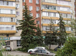 Задержанный полицейскими гражданин шел с «букетом конопли», который нарвал в городе