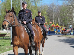 В праздники полицейские на лошадях будут патрулировать места гуляний и отдыха в Камышине