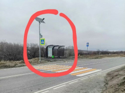 «Освещение на остановках — это не просто элемент комфорта, а важная часть безопасности», - камышанка