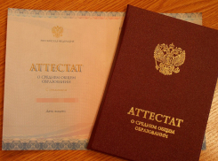 Камышинский заключенный обратился в суд в борьбе за... школьный аттестат 30-летней давности