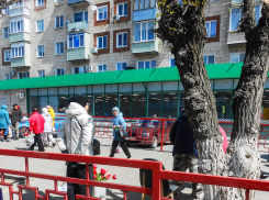 В Камышине везде продают тюльпановые букеты, но дешевых пока нет
