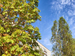 Где отключают свет в Камышине сегодня, 2 октября