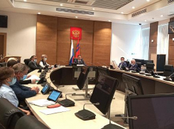 Депутаты Волгоградской облдумы решили не тратиться на «фирменные» маски и заказали их за казенный счет