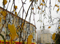 После затяжного дождя в Камышине похолодает сегодня, 20 ноября