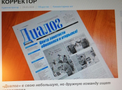 В камышинскую муниципальную газету «Диалог» ищут «исправляльщика» ошибок журналистов с природным чутьем: звучит анекдотично, - камышанка
