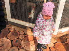 Камышанам выплачивают региональный материнский капитал - на какого по счету ребенка, и какую сумму?